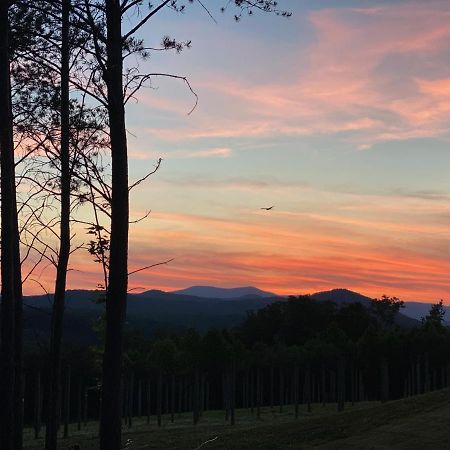 A Suite With A View + Wine Mount Airy Exterior foto